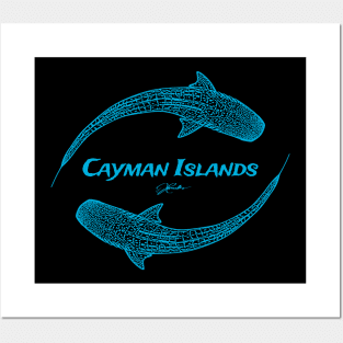 Cayman Islands Whale Sharks Posters and Art